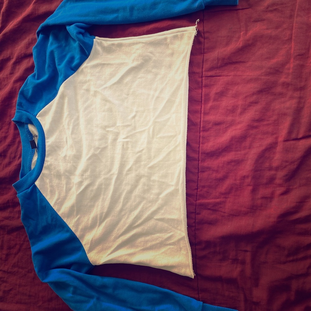 Blue and white cropped long sleeve